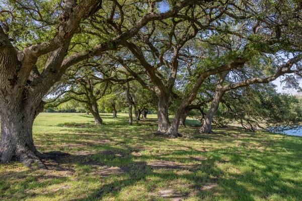 6808 Cedar Hill Road, Brenham, Texas image 31