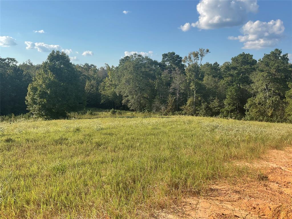 LOT 186 Lakeland Ranch Sec 5 Lot 186, Hillister, Texas image 6