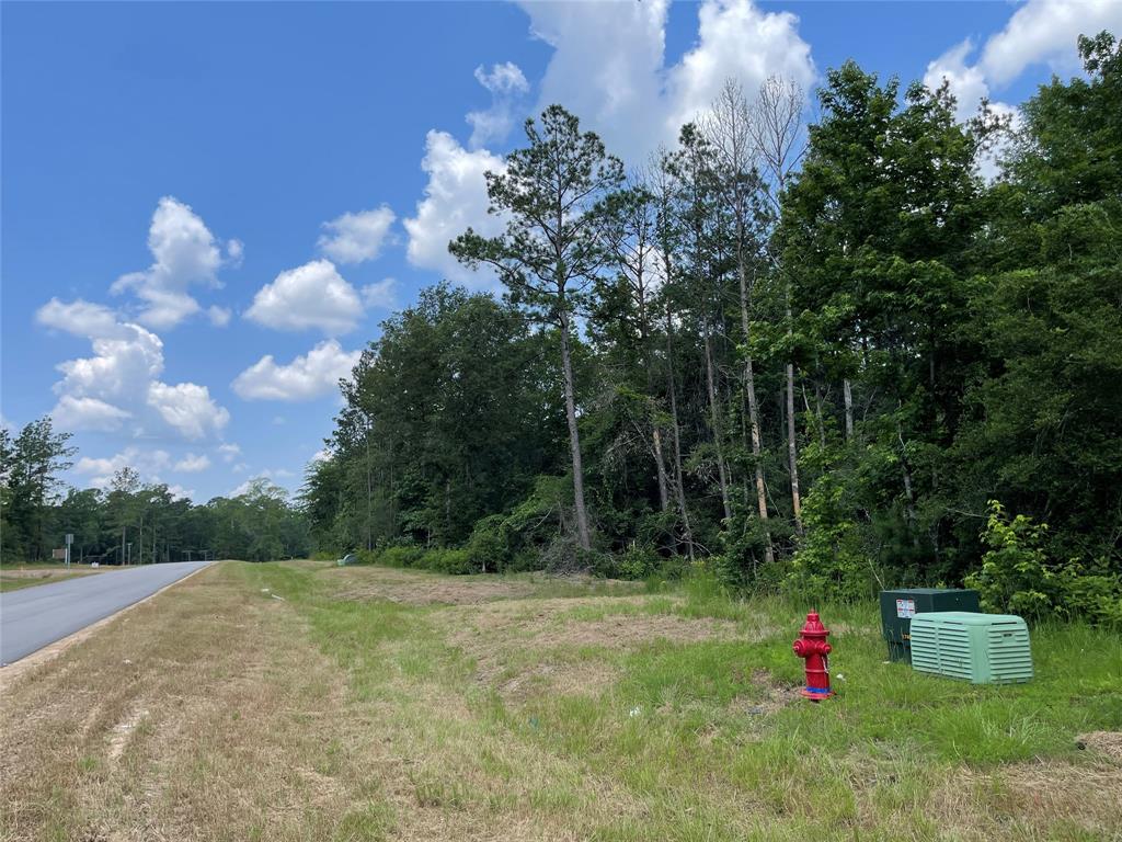 15824 Republic Ranch Road, Willis, Texas image 6