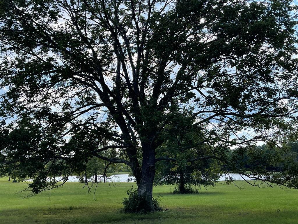 15824 Republic Ranch Road, Willis, Texas image 13