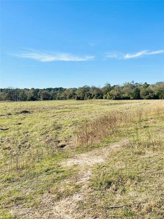 1306 County Road 3455a, Lovelady, Texas image 3