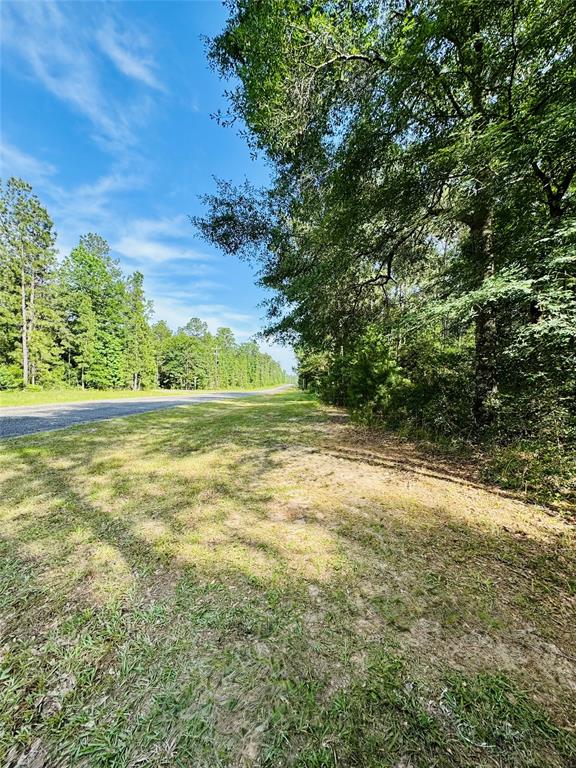 13a-1-1 Texas Grand Road, Huntsville, Texas image 7