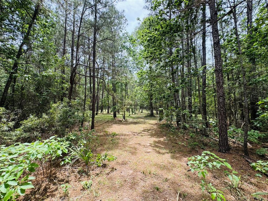 13a-1-1 Texas Grand Road