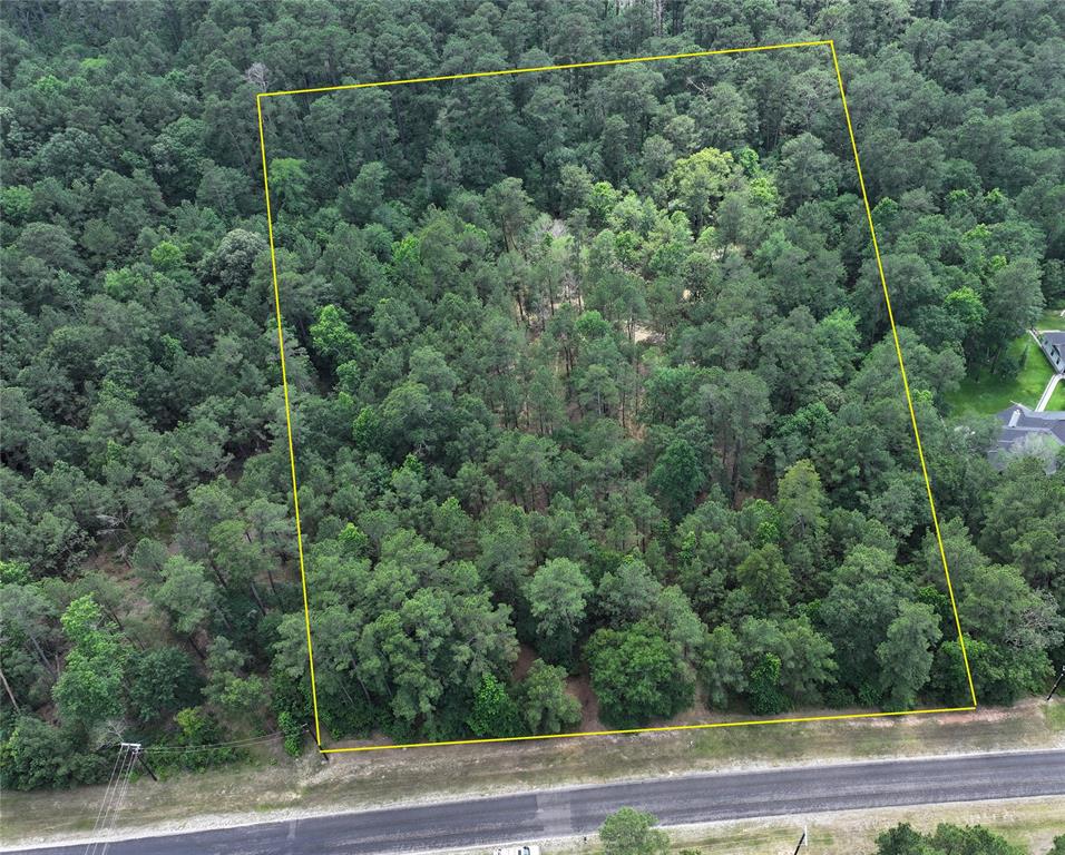 13a-1-1 Texas Grand Road, Huntsville, Texas image 1