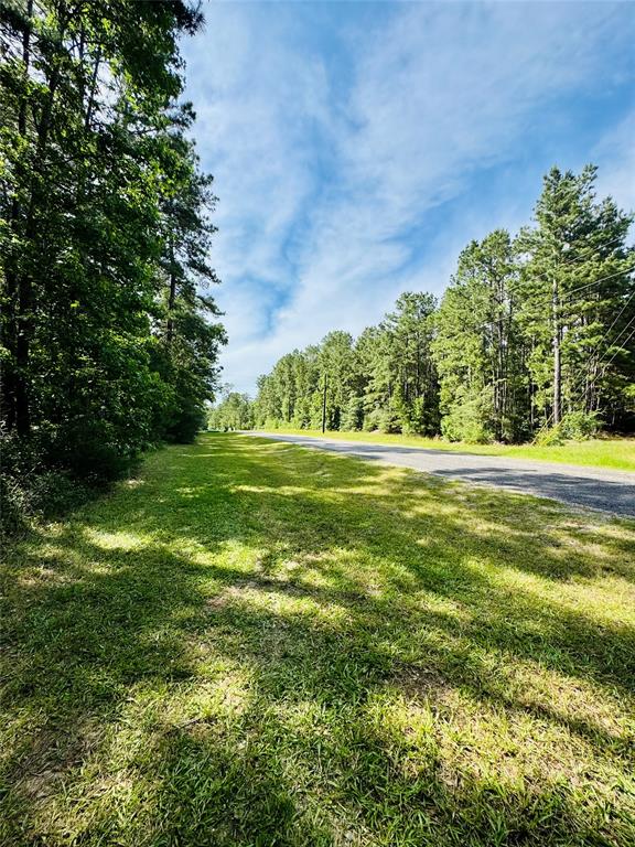 13a-1-1 Texas Grand Road, Huntsville, Texas image 8