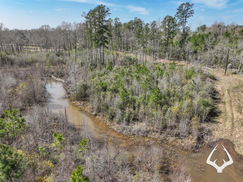 TBD County Road 2052, Newton, Texas image 6