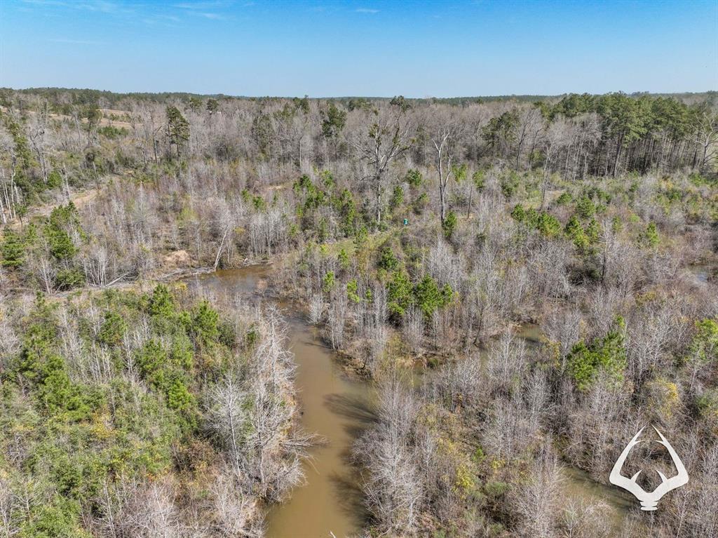 TBD County Road 2052, Newton, Texas image 19