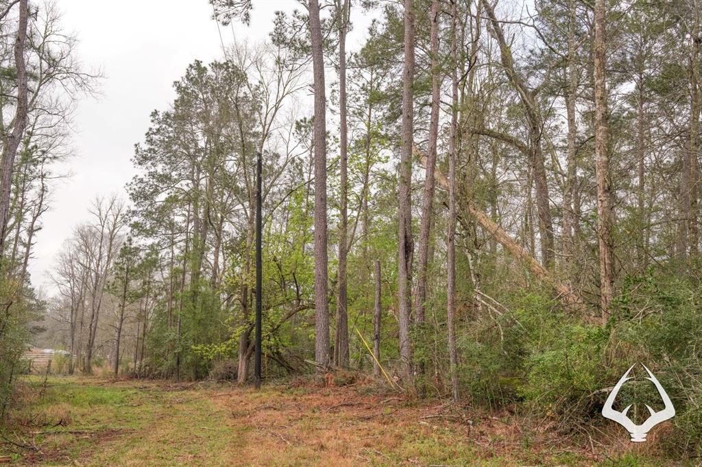 TBD County Road 2052, Newton, Texas image 10