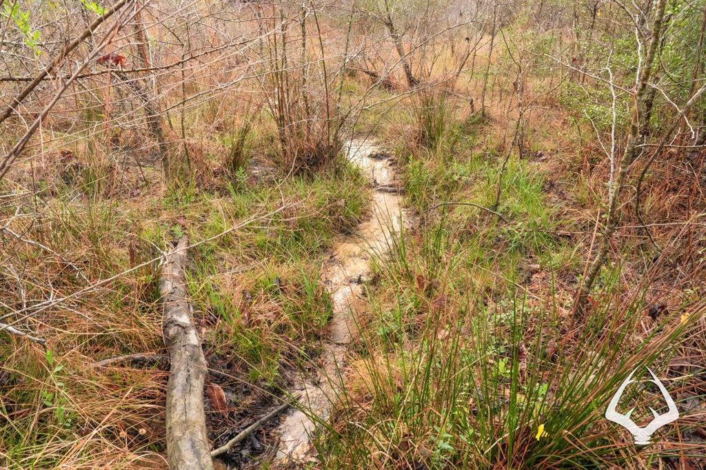 TBD County Road 2052, Newton, Texas image 23