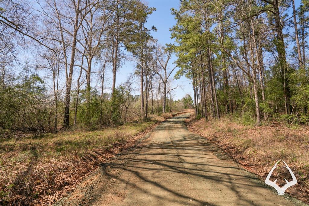 TBD County Road 2052, Newton, Texas image 5