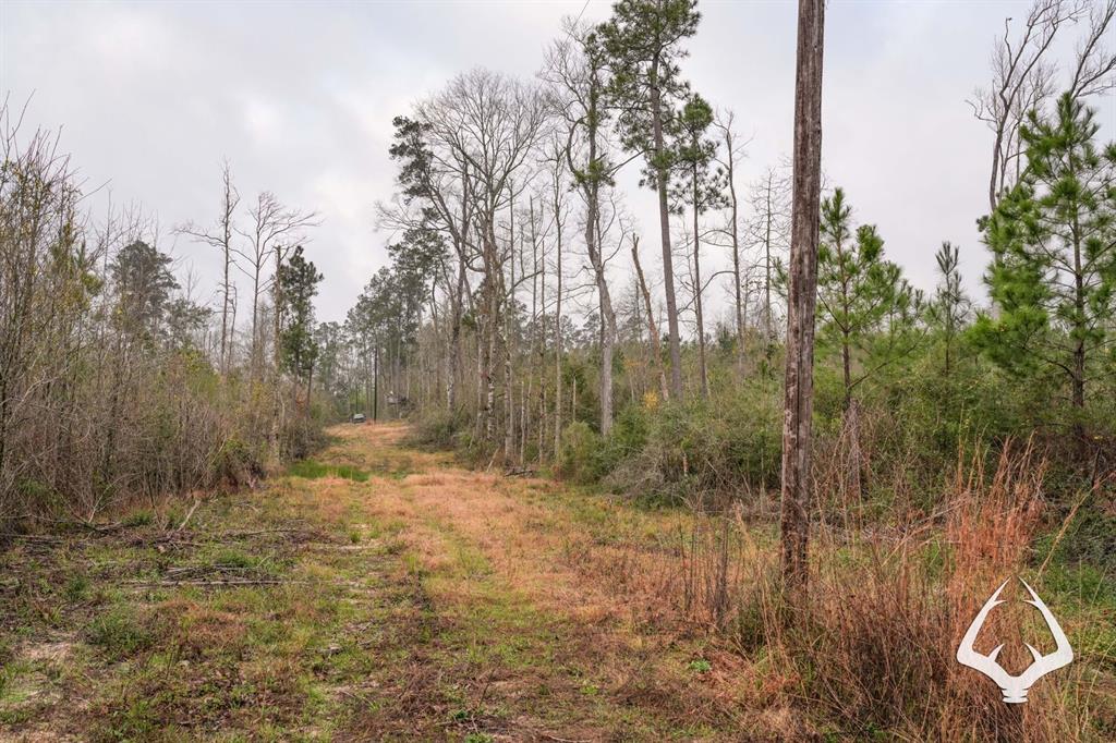 TBD County Road 2052, Newton, Texas image 17