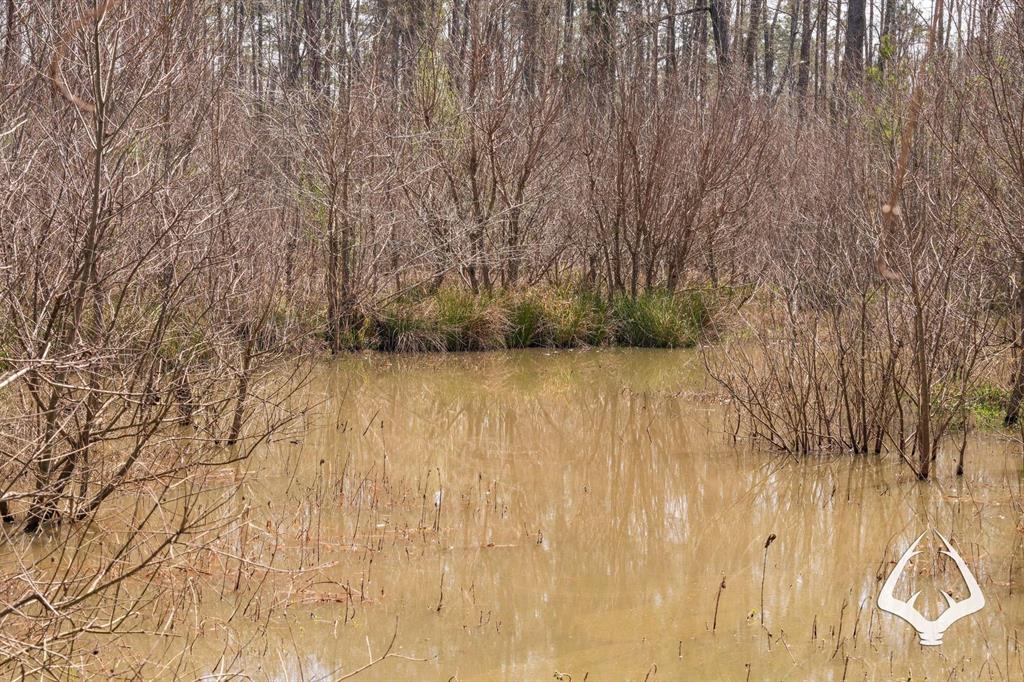 TBD County Road 2052, Newton, Texas image 24