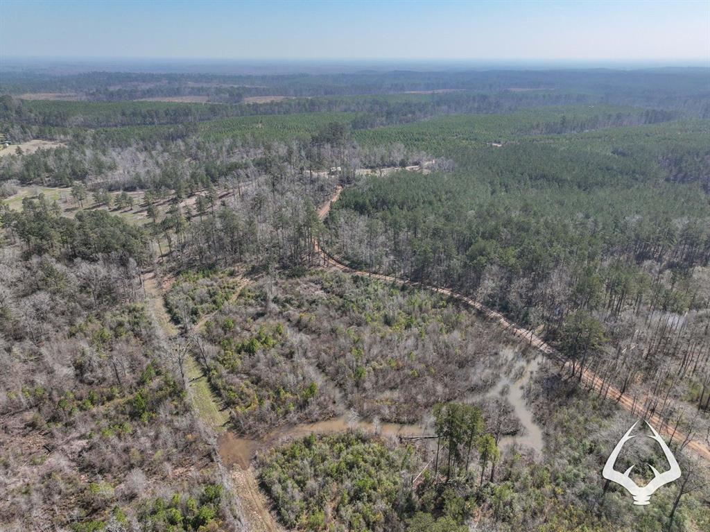 TBD County Road 2052, Newton, Texas image 18