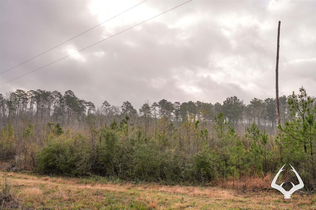 TBD County Road 2052, Newton, Texas image 21