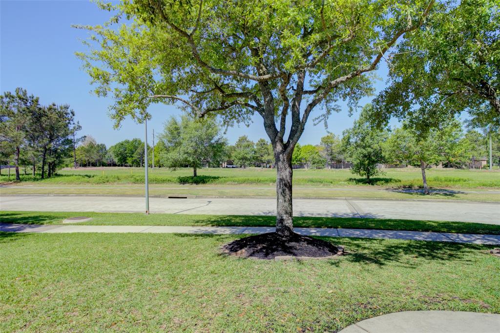 6103 Silver Thistle Lane, Fulshear, Texas image 24
