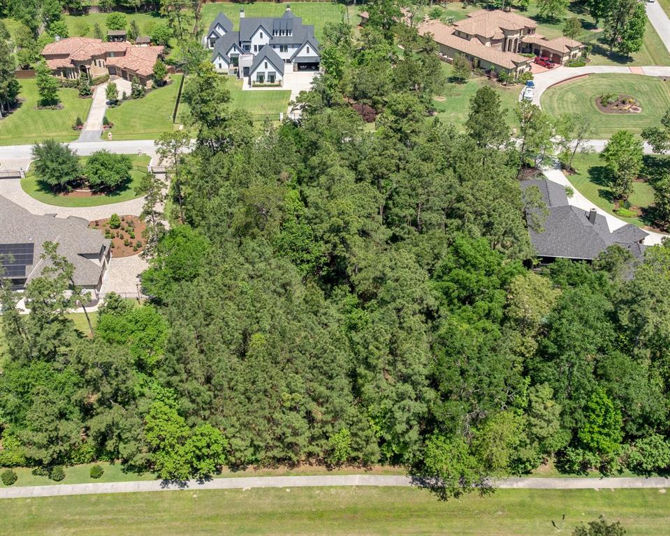 5310 Pine Wood Meadows Lane Ln, Spring, Texas image 4