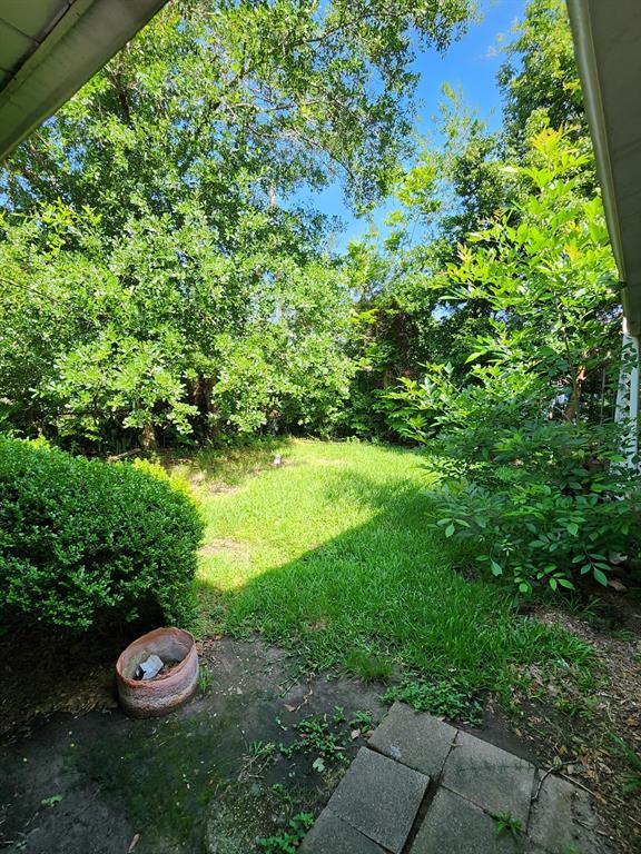 4849 Larkspur Street, Houston, Texas image 12