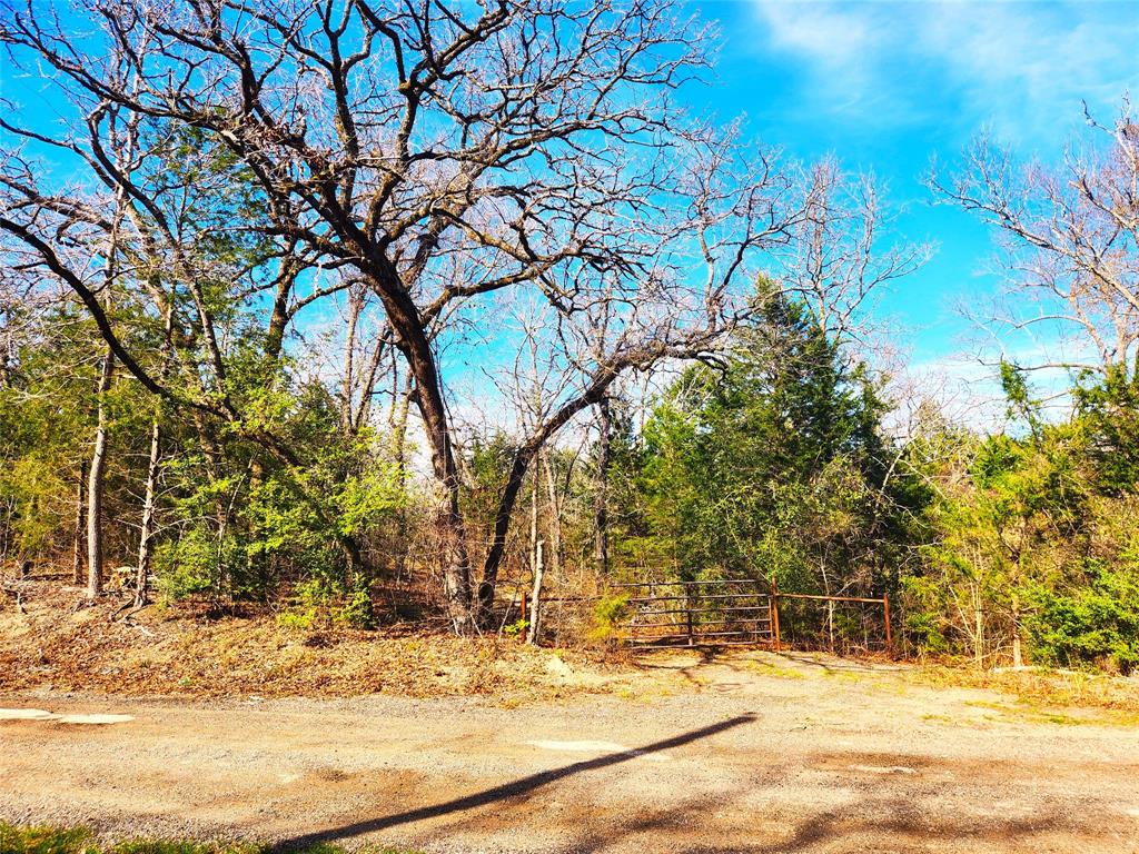 Lot 463 Us-175, Larue, Texas image 38