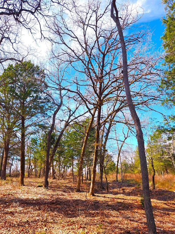 Lot 463 Us-175, Larue, Texas image 8