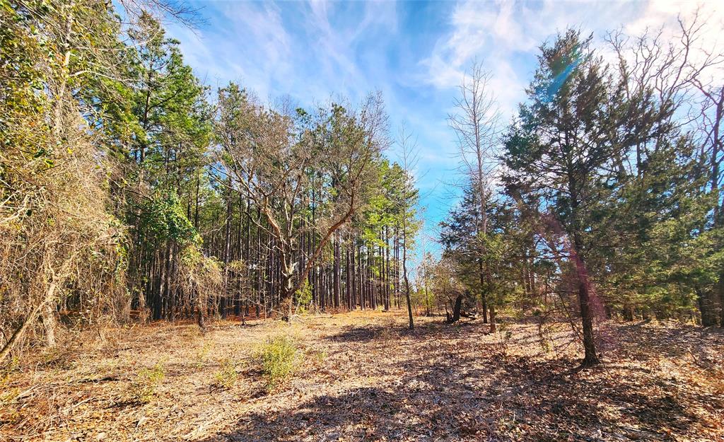 Lot 463 Us-175, Larue, Texas image 34