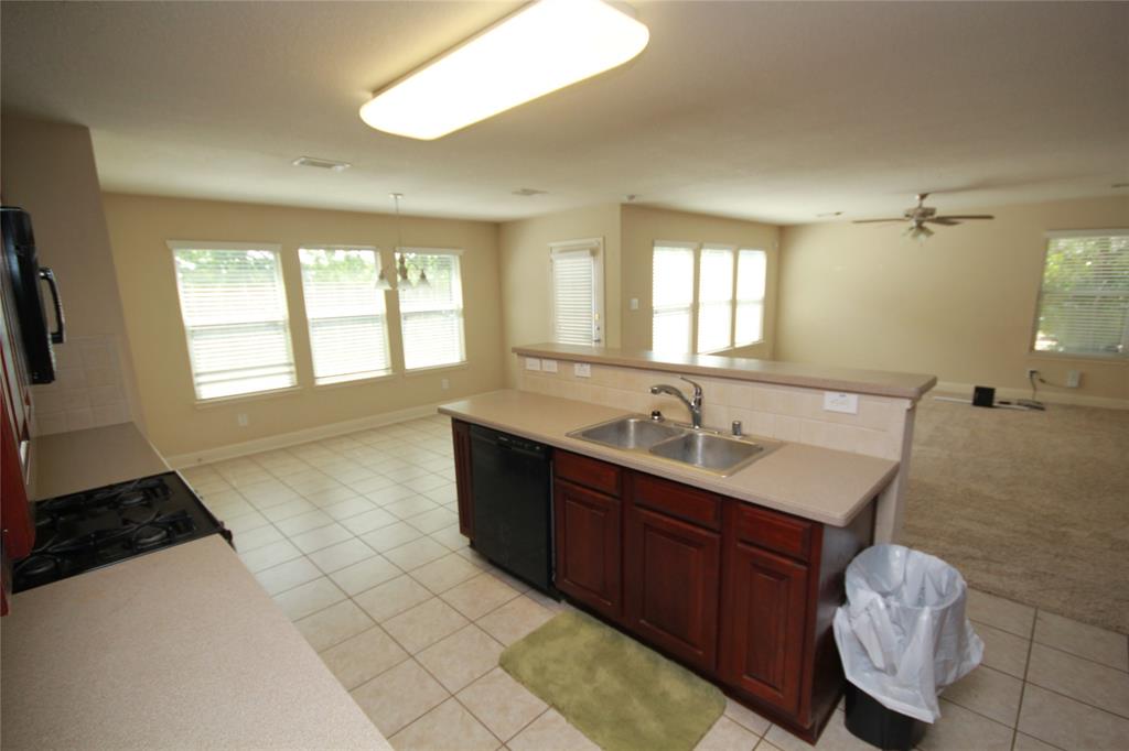 16218 Bresslyn Ln, Cypress, Texas image 11