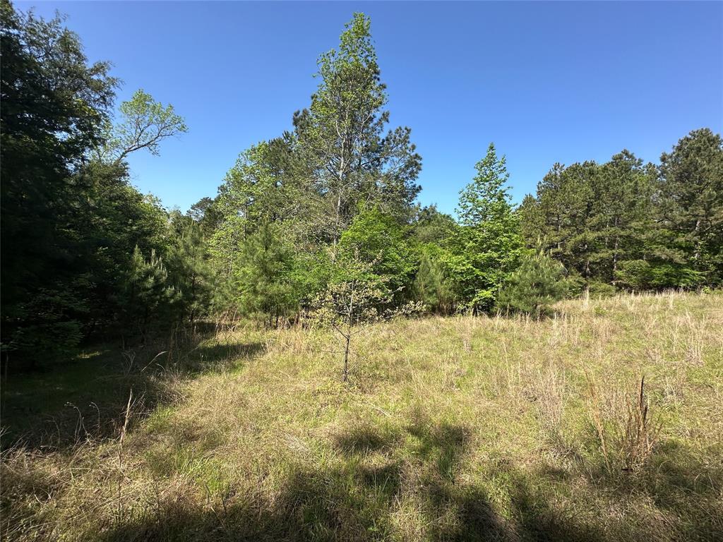 TBD Fm 1511, Buffalo, Texas image 6