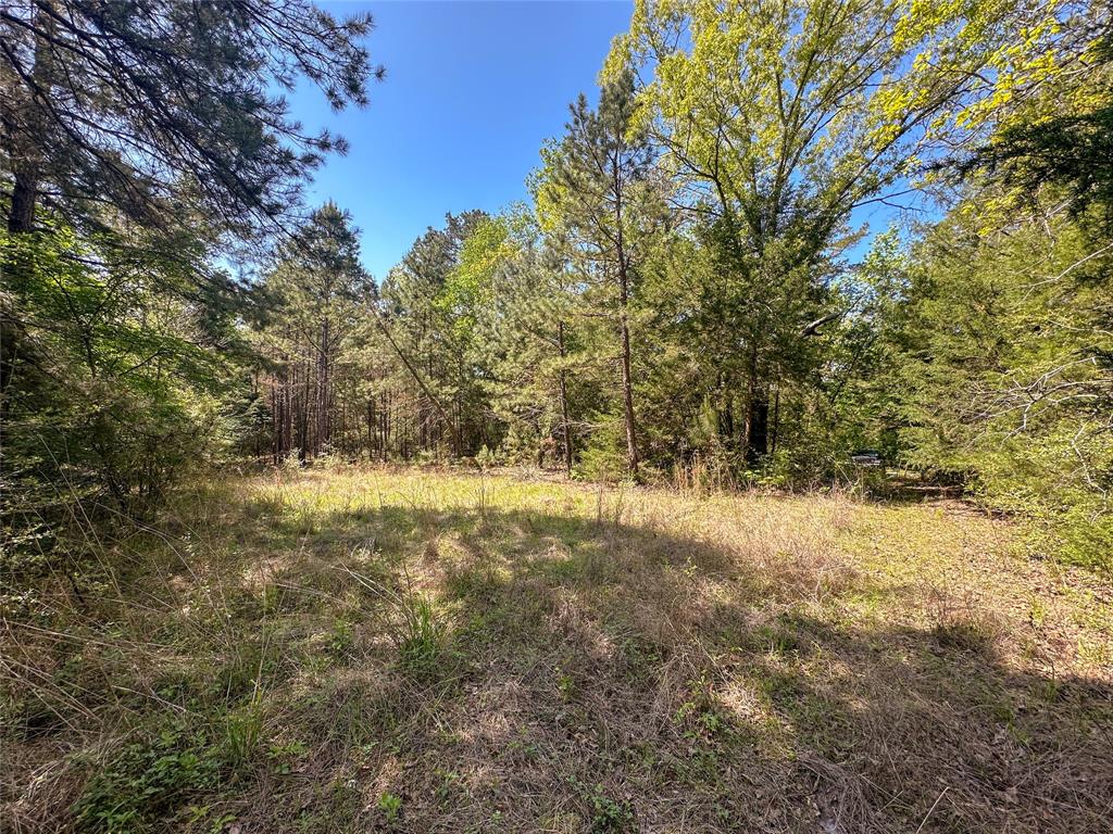 TBD Fm 1511, Buffalo, Texas image 10