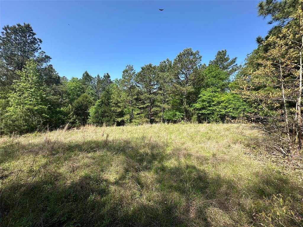 TBD Fm 1511, Buffalo, Texas image 14
