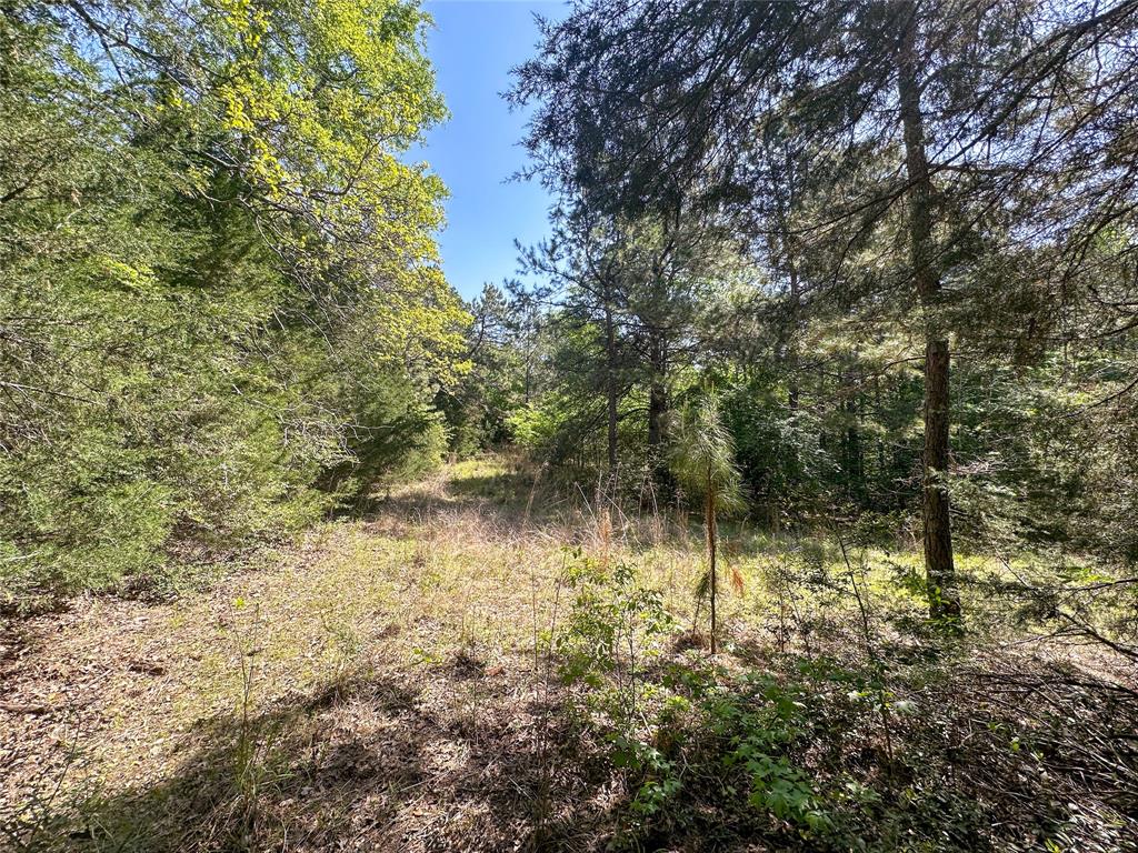 TBD Fm 1511, Buffalo, Texas image 9
