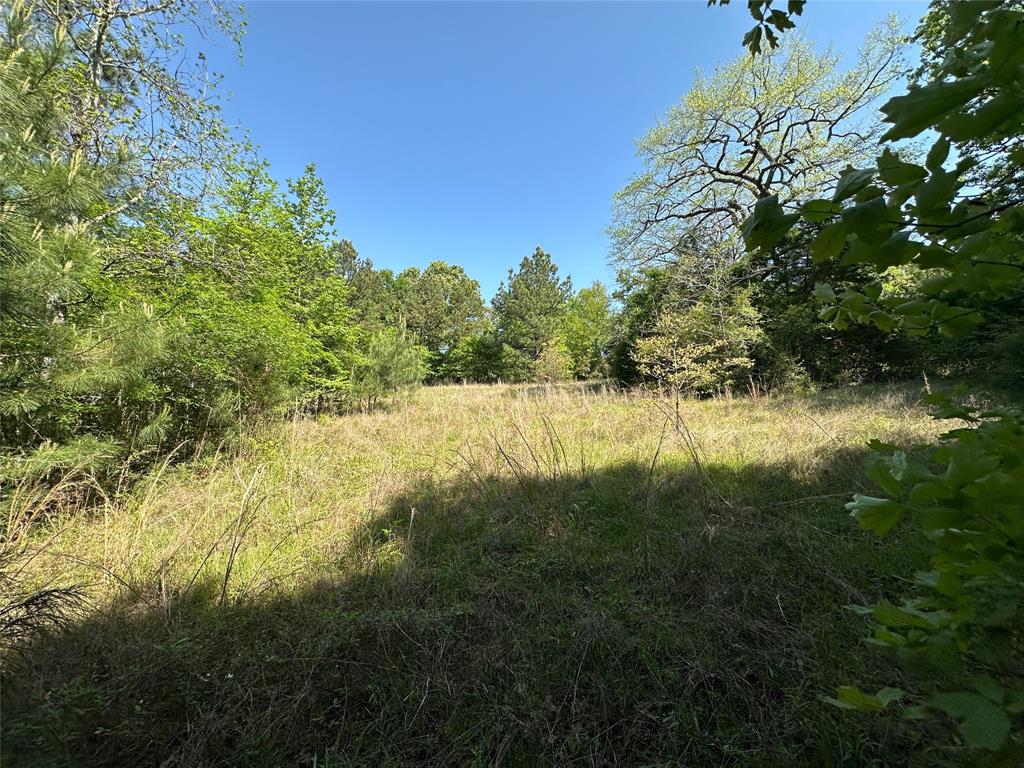 TBD Fm 1511, Buffalo, Texas image 4