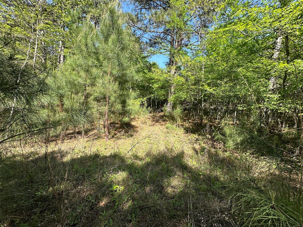 TBD Fm 1511, Buffalo, Texas image 18