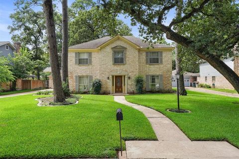 Single Family Residence in Houston TX 710 Misty Lea Lane.jpg