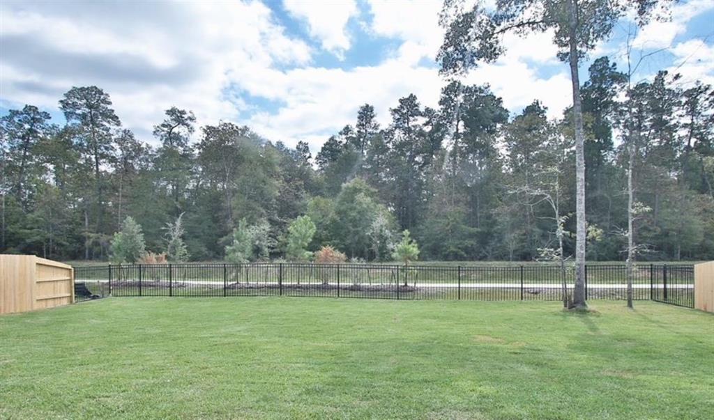 23548 Red Juniper Lane, New Caney, Texas image 34