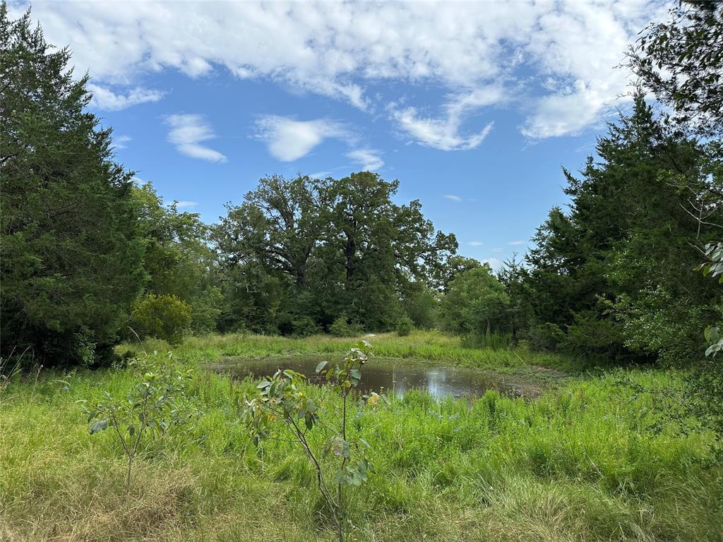 TBD Ferrill Creek, Bryan, Texas image 2