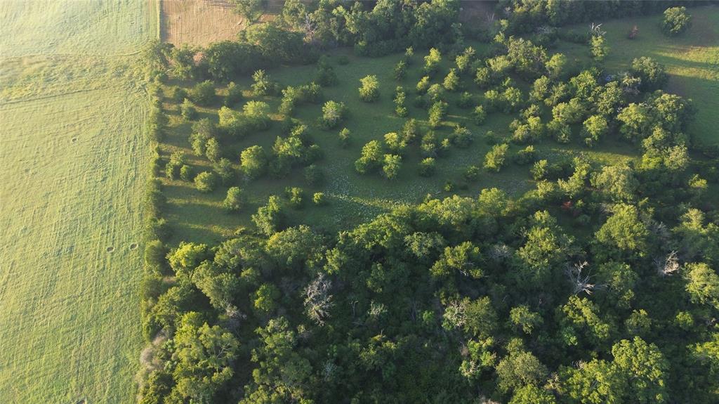 TBD Ferrill Creek, Bryan, Texas image 3