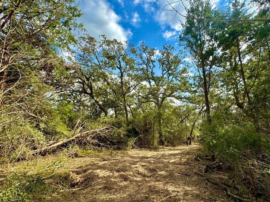 571 Oak Meadow Road, Bellville, Texas image 9