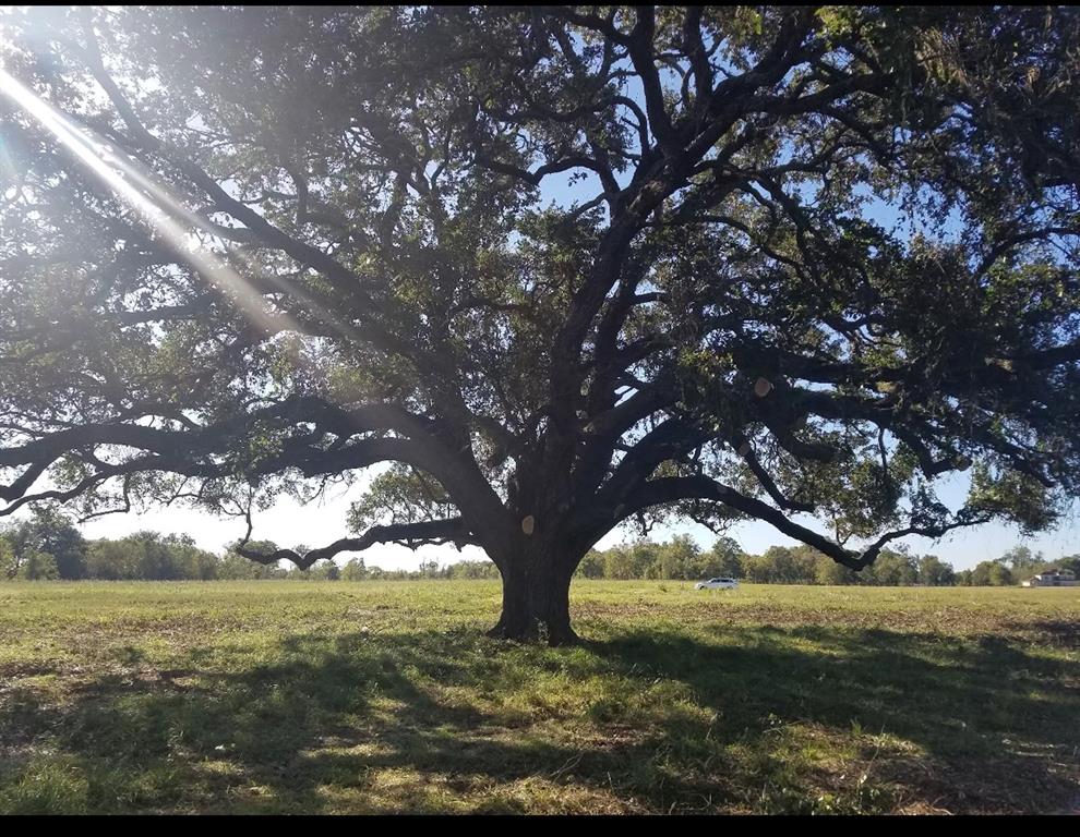 434 Lakeview Drive, Angleton, Texas image 1