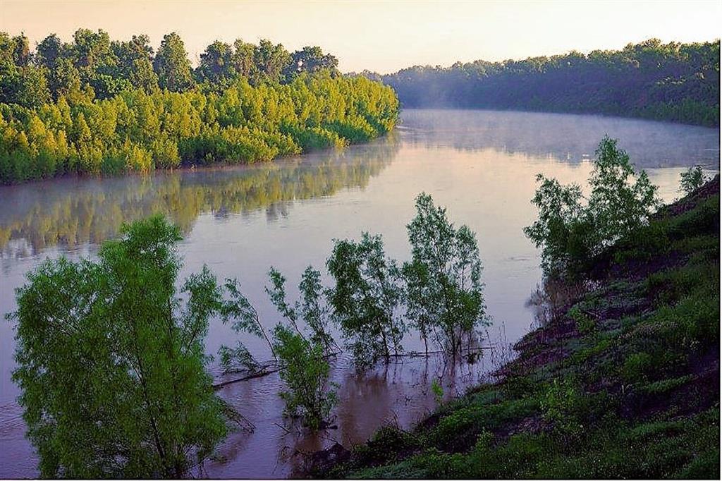 000 Laprada Trace - Tract 1, Fulshear, Texas image 17