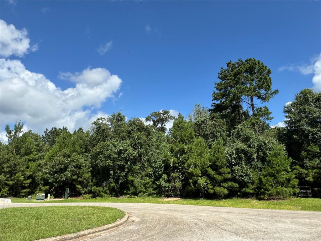 13032 Royal Oak Court