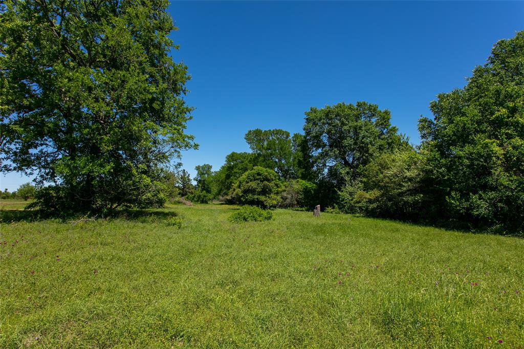 Lot 25 Brazos Court, Caldwell, Texas image 3