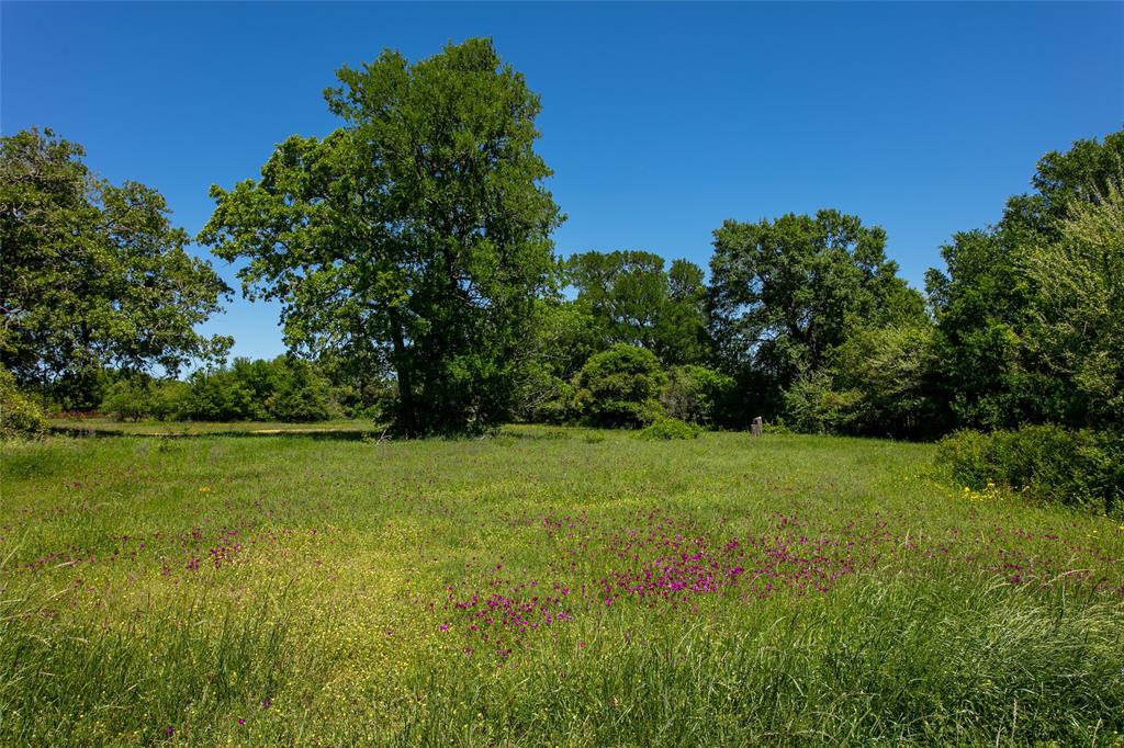 Lot 25 Brazos Court, Caldwell, Texas image 2