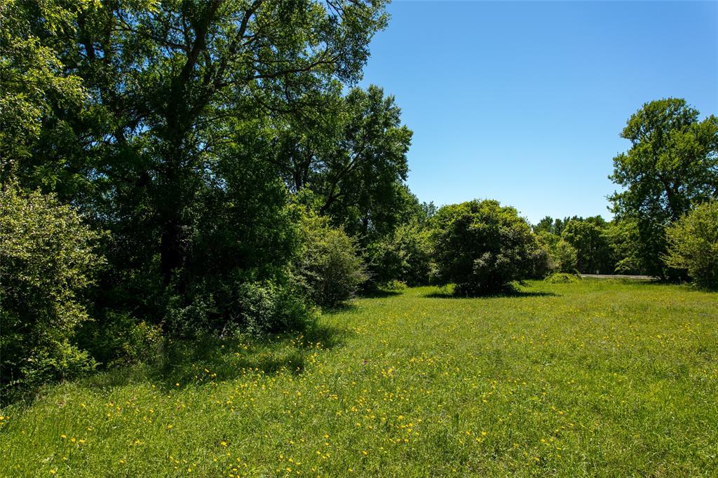 Lot 25 Brazos Court, Caldwell, Texas image 5