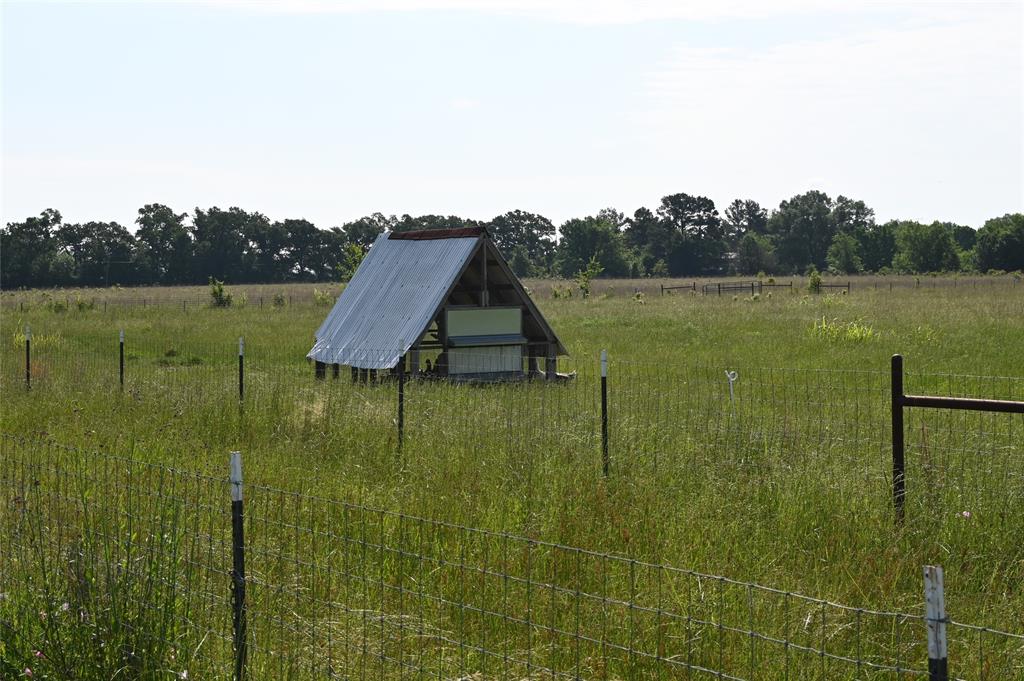 8698 County Road 239, Oakwood, Texas image 25