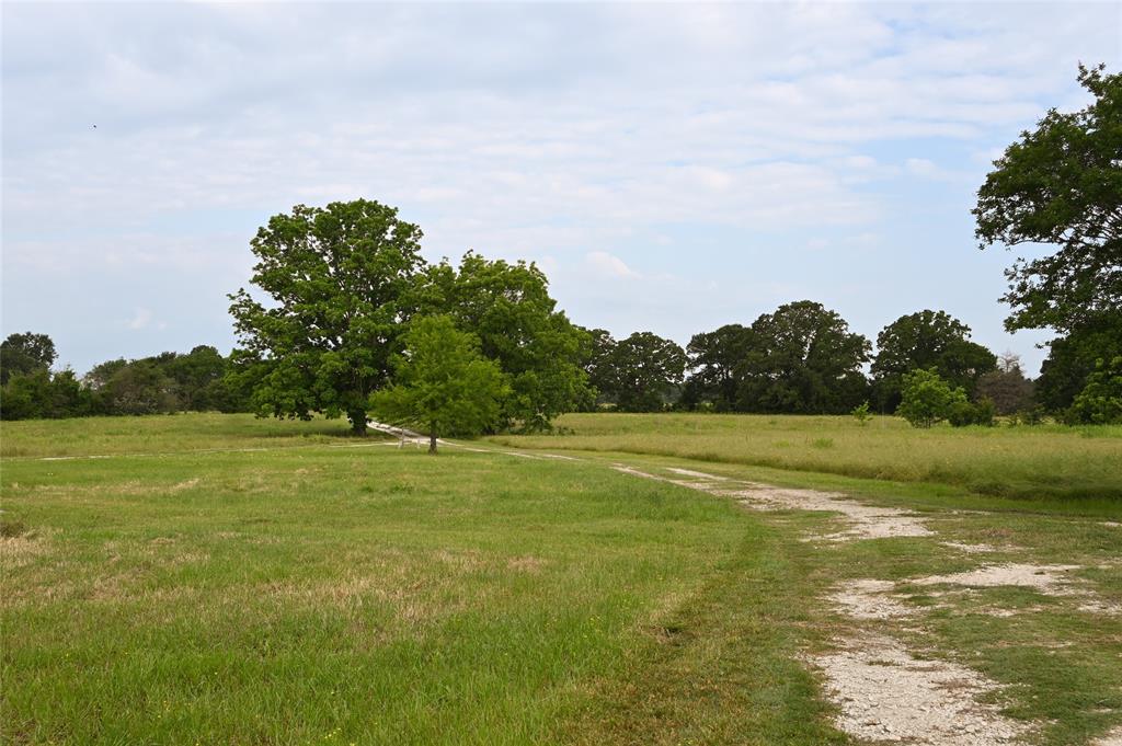 8698 County Road 239, Oakwood, Texas image 2