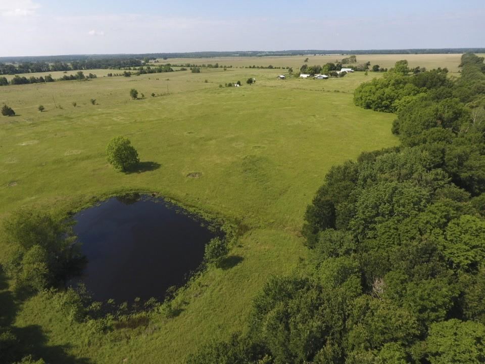 8698 County Road 239, Oakwood, Texas image 48