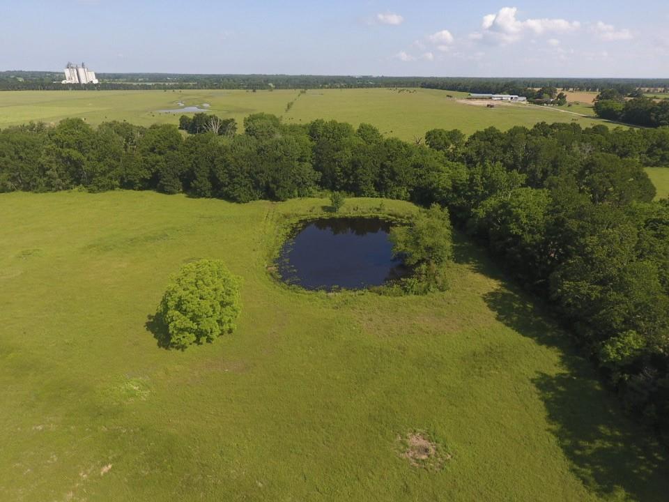8698 County Road 239, Oakwood, Texas image 49