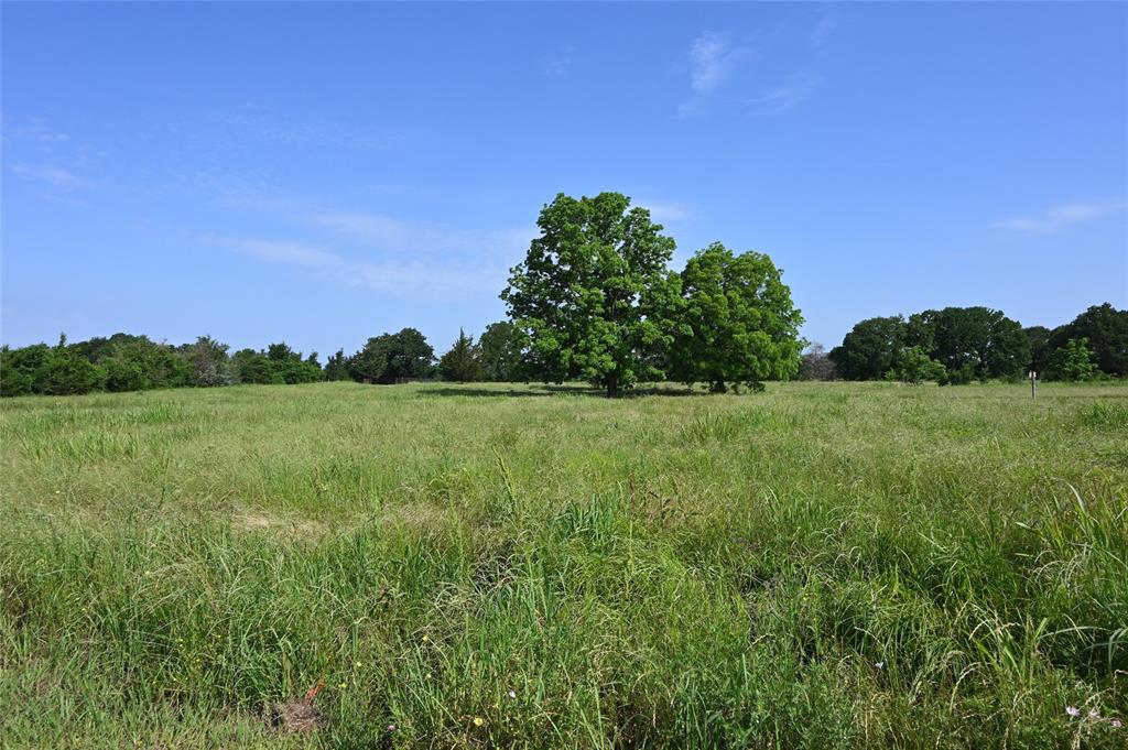 8698 County Road 239, Oakwood, Texas image 20