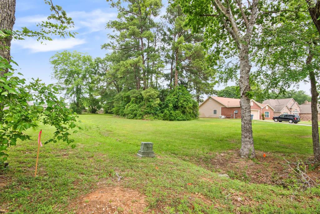12995 Point Aquarius Boulevard, Willis, Texas image 11