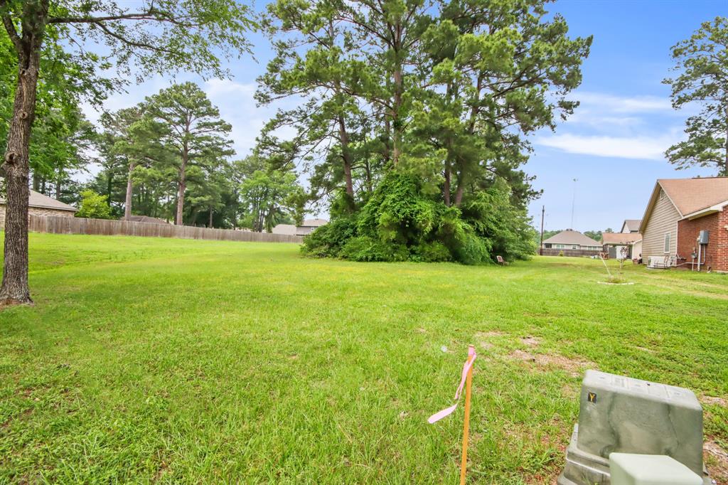 12995 Point Aquarius Boulevard, Willis, Texas image 10