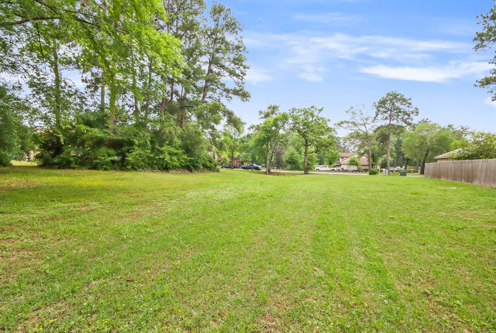 12995 Point Aquarius Boulevard, Willis, Texas image 14